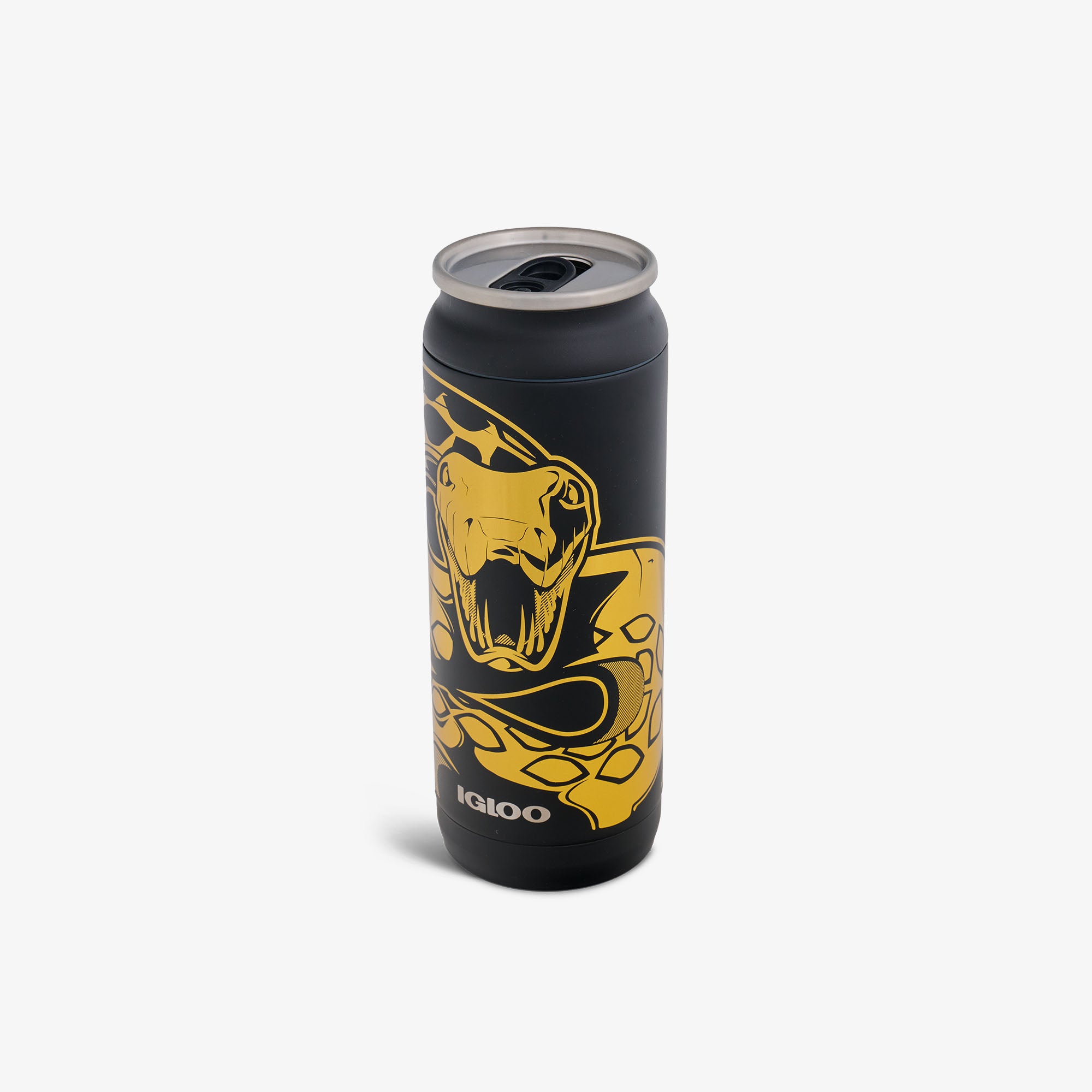 HARRY POTTER Dark Arts Nagini 16 Oz Can - Image 2